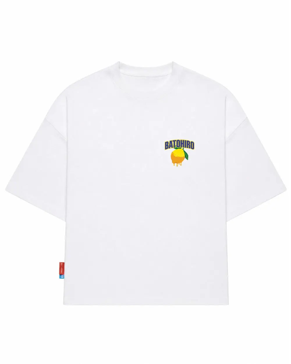 Ginko Cat Tee - Black Cropped Oversized